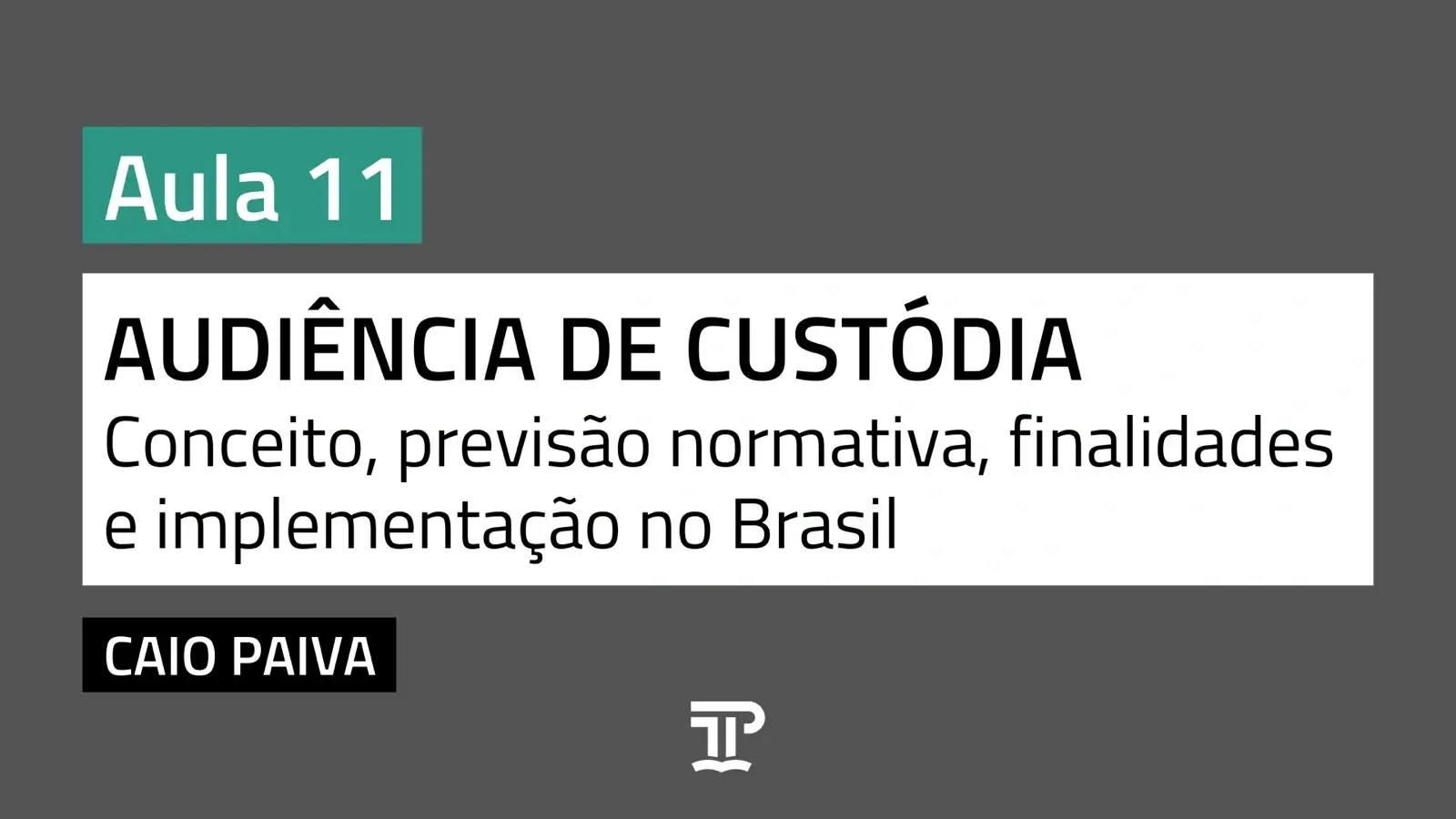 Audiência de custódia: conceito, previsão normativa, finalidades e implementação no Brasil