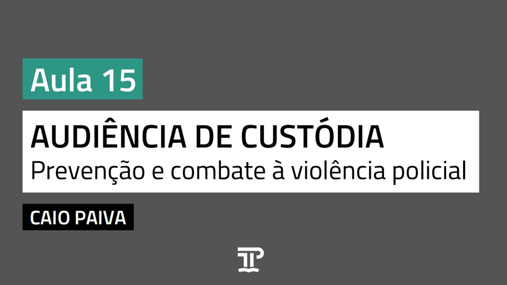Audiência de custódia: prevenção e combate à violência policial